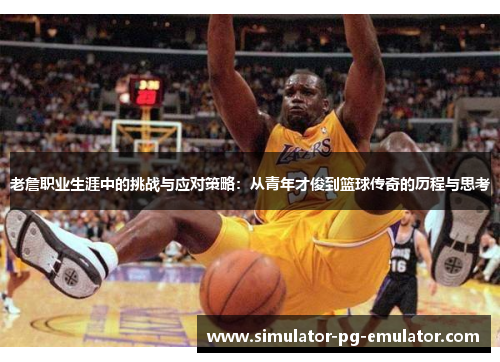 老詹职业生涯中的挑战与应对策略：从青年才俊到篮球传奇的历程与思考