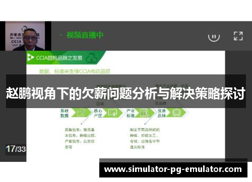 赵鹏视角下的欠薪问题分析与解决策略探讨