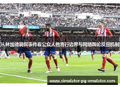 从林加德调侃事件看公众人物言行边界与网络舆论反应机制