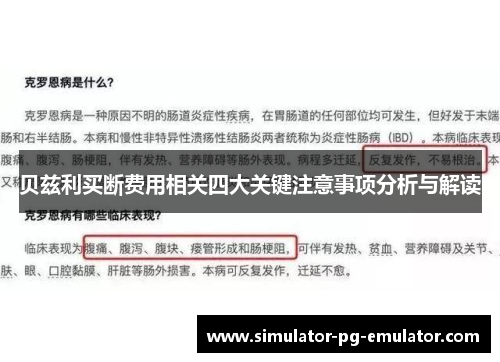 贝兹利买断费用相关四大关键注意事项分析与解读