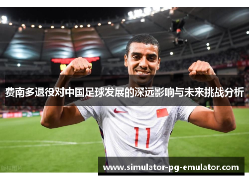 费南多退役对中国足球发展的深远影响与未来挑战分析