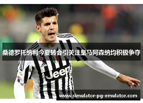 桑德罗托纳利今夏转会引关注皇马阿森纳均积极争夺 桑德罗托纳利今夏转会引关注皇马阿森纳均积极争夺