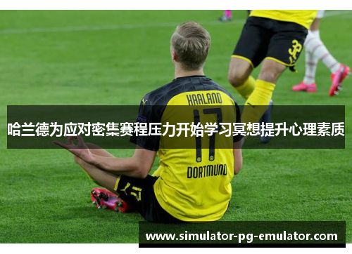 哈兰德为应对密集赛程压力开始学习冥想提升心理素质